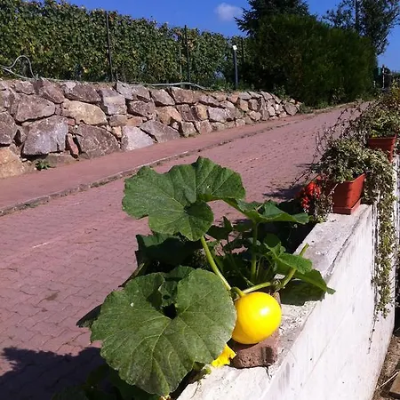 Vignes Гостевой дом Кольмар